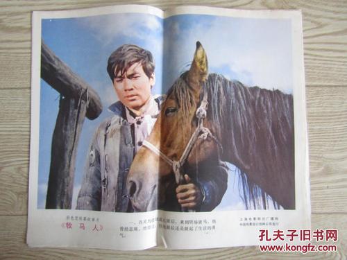 一比一仿日本島根大學学位证